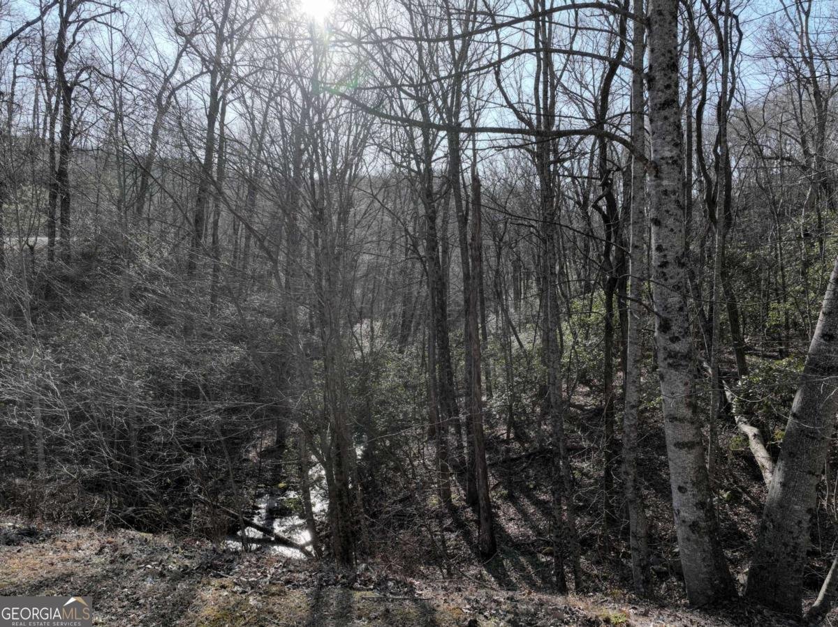 216 St Andrews Way Ellijay - 57