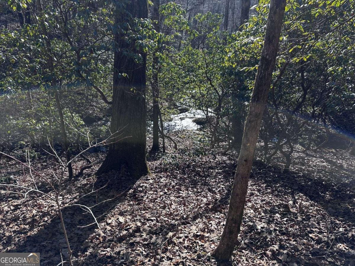 216 St Andrews Way Ellijay - 58