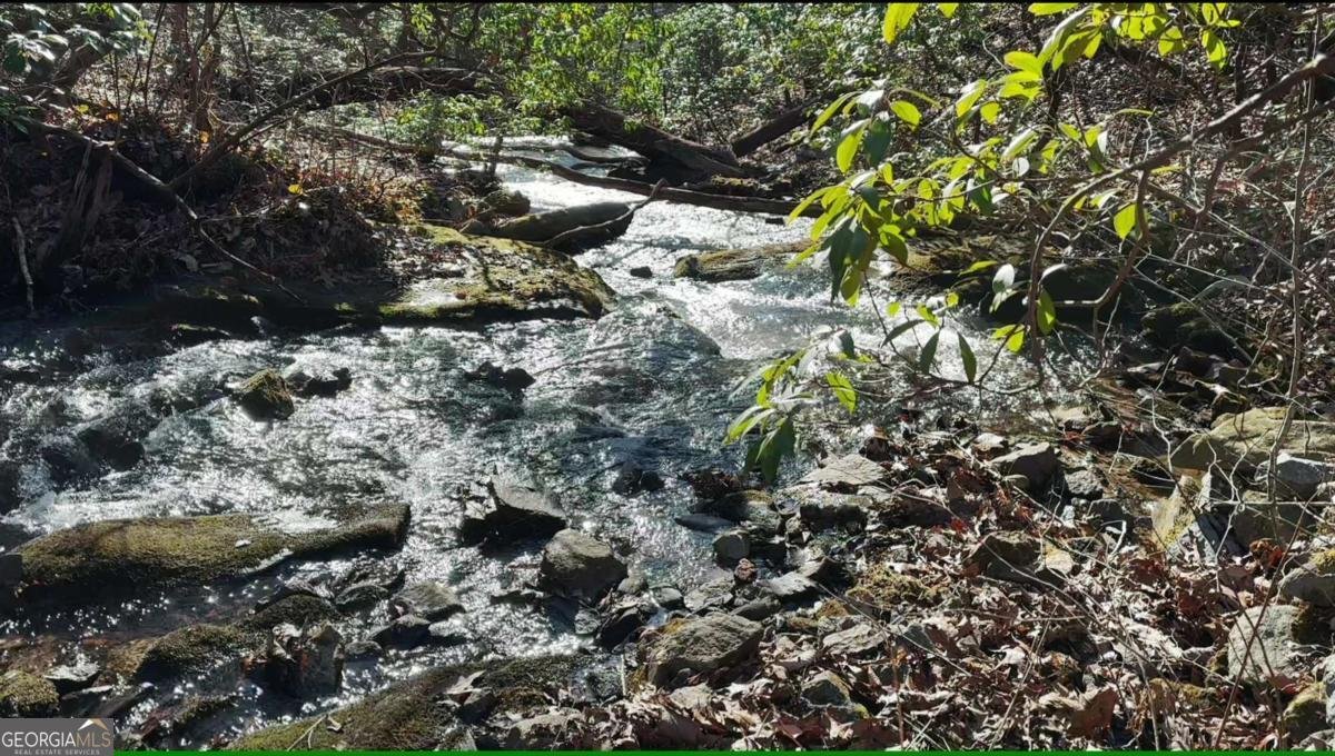 216 St Andrews Way Ellijay - 59