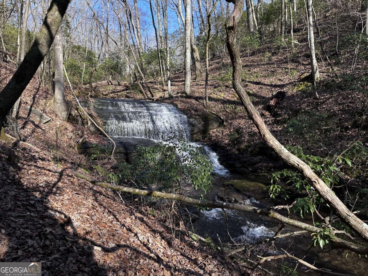 216 St Andrews Way Ellijay - 61