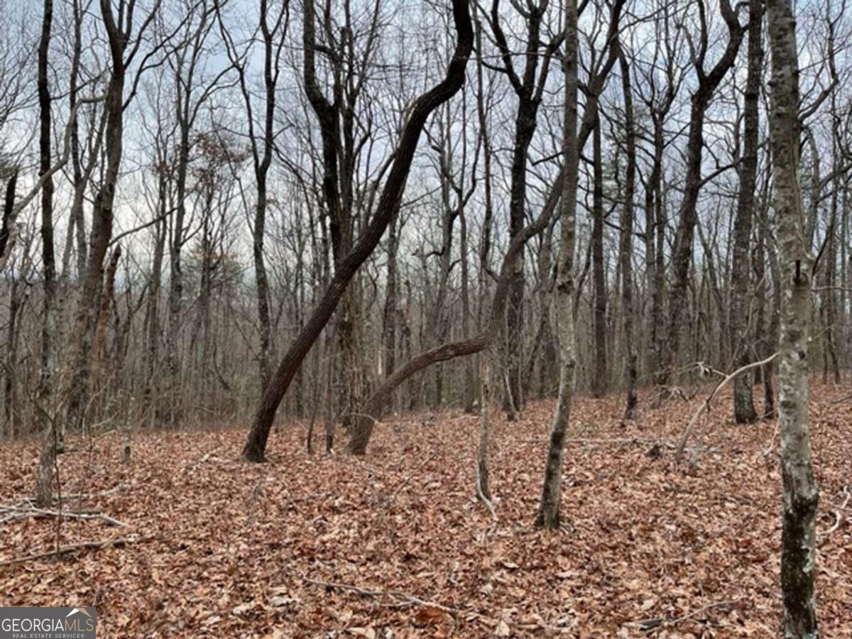 184 St Andrews Way Ellijay - 20