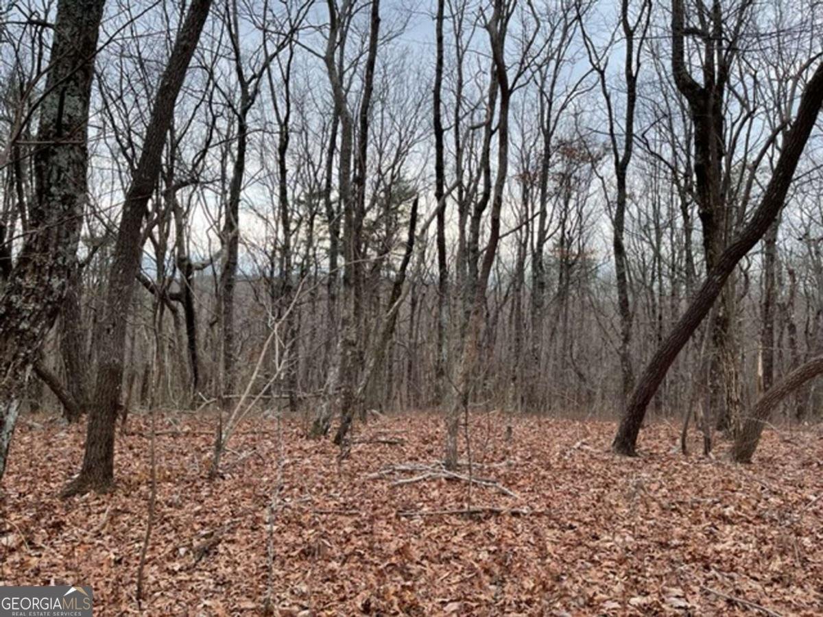 184 St Andrews Way Ellijay - 21