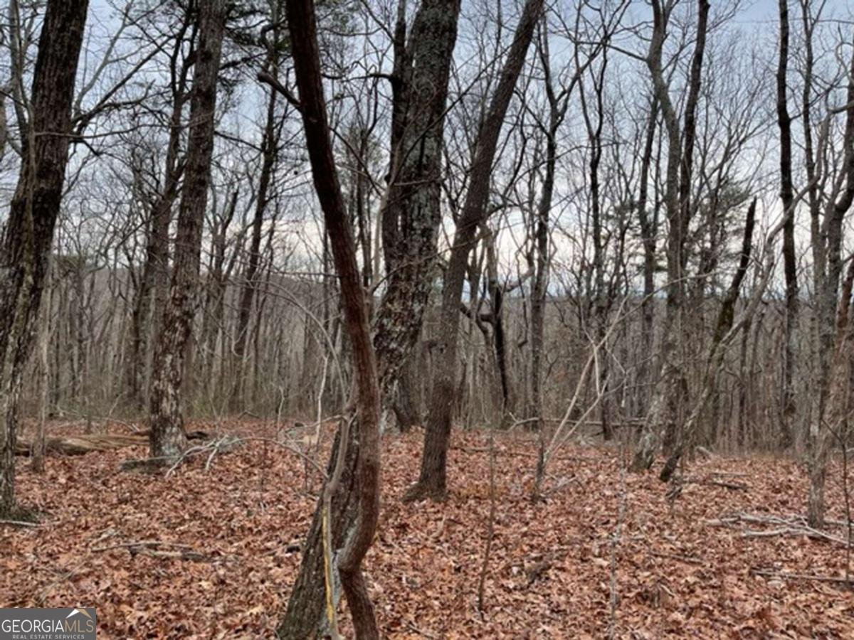 184 St Andrews Way Ellijay - 22