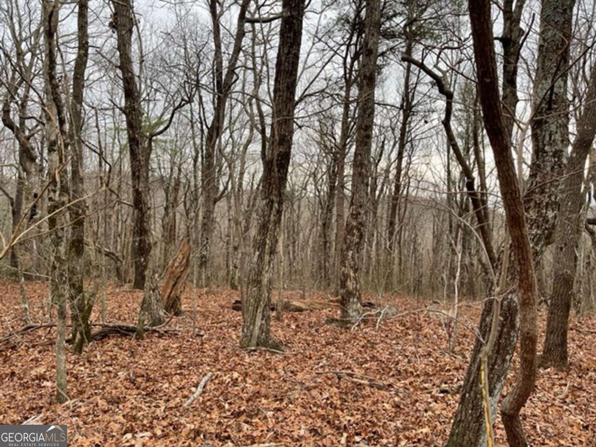 184 St Andrews Way Ellijay - 23