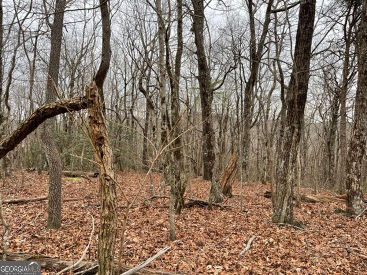 184 St Andrews Way Ellijay - 24