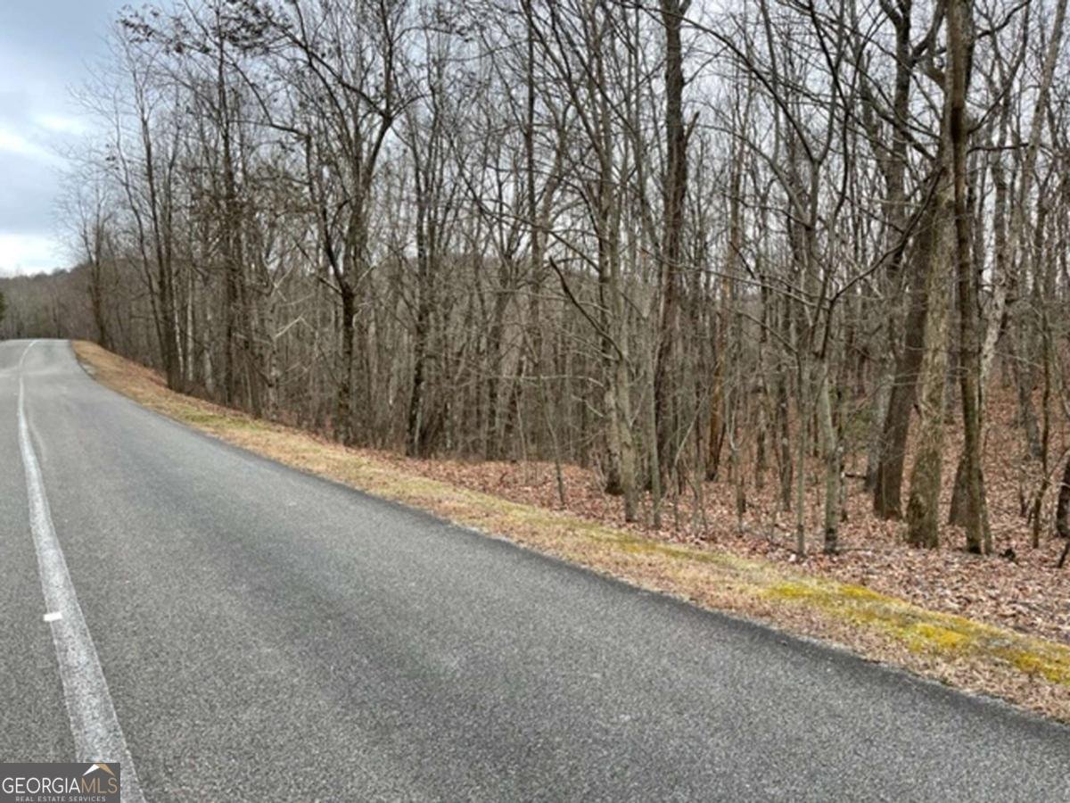 184 St Andrews Way Ellijay - 25