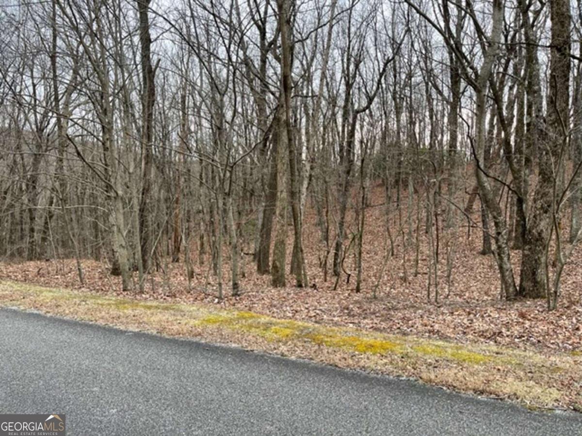 184 St Andrews Way Ellijay - 26