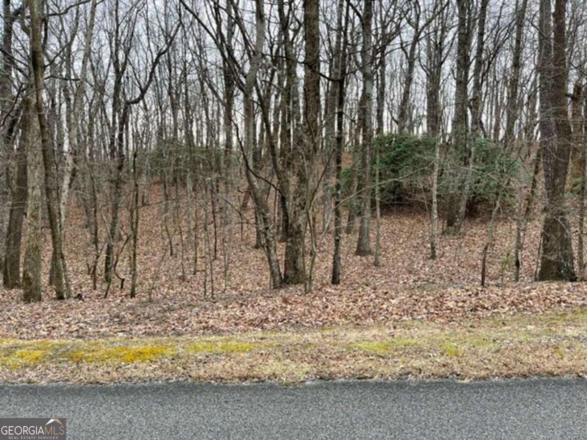 184 St Andrews Way Ellijay - 27