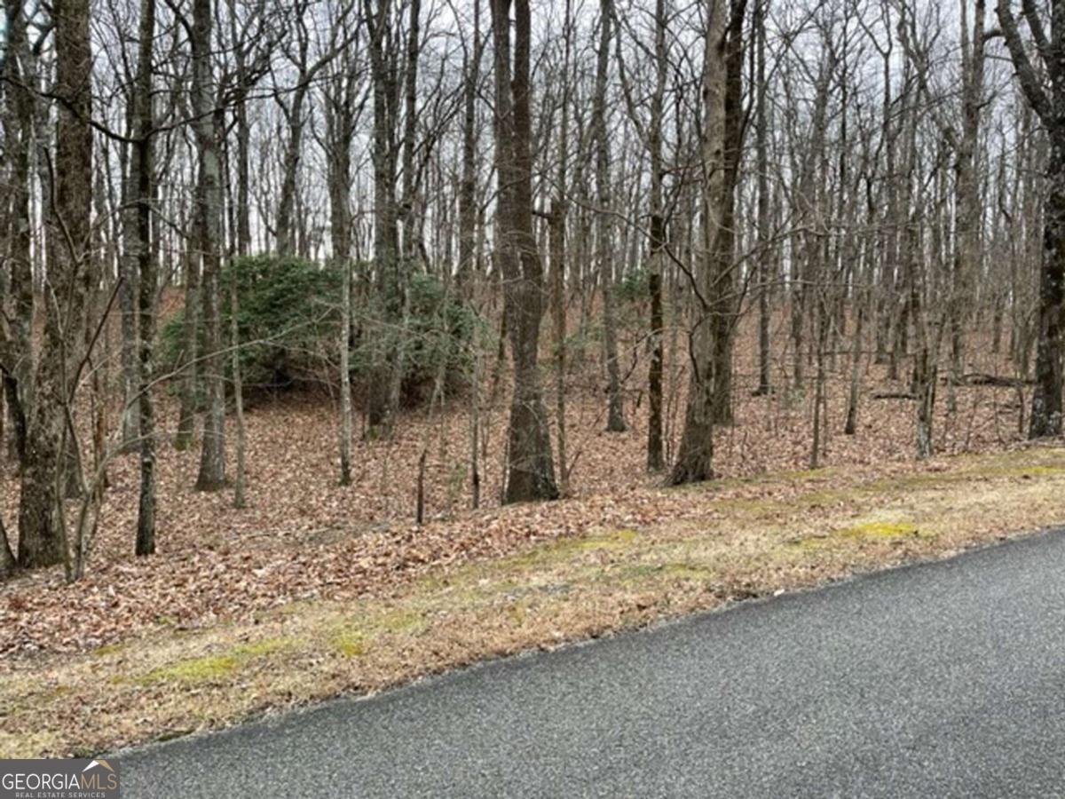 184 St Andrews Way Ellijay - 28