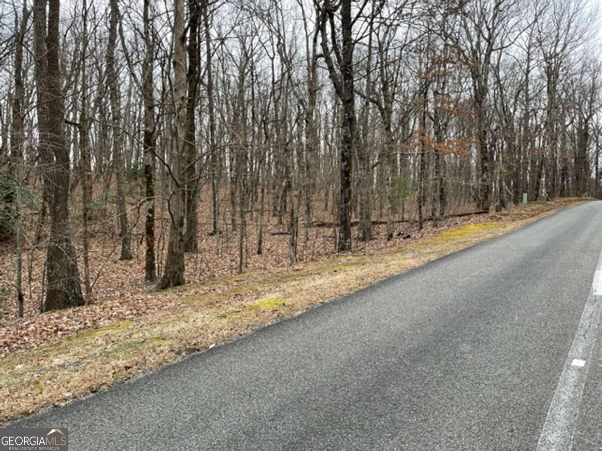 184 St Andrews Way Ellijay - 29