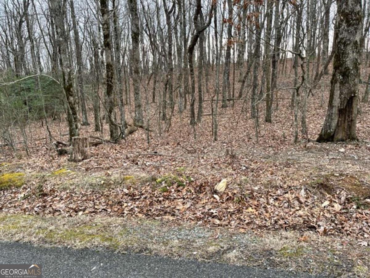 184 St Andrews Way Ellijay - 30