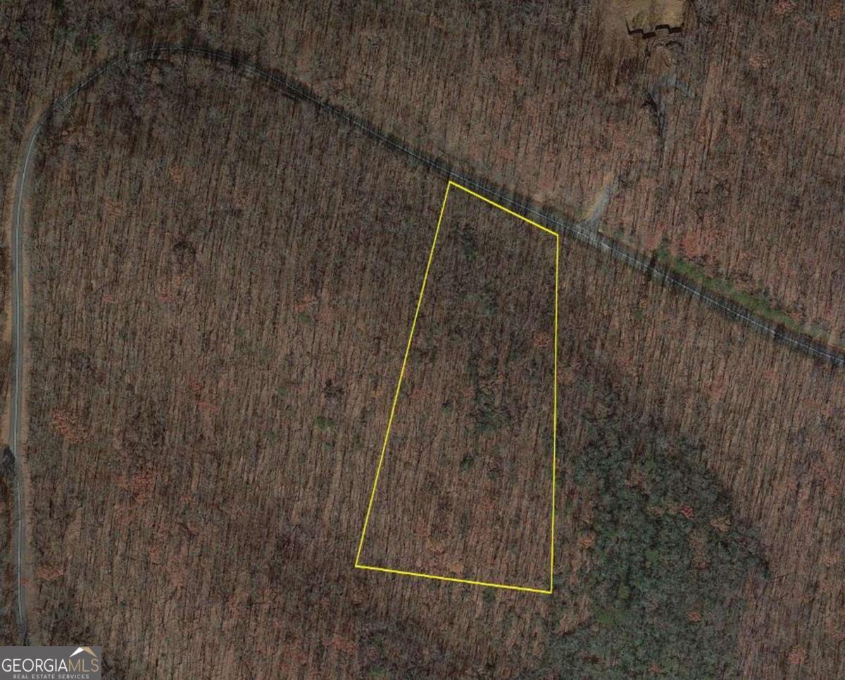 184 St Andrews Way Ellijay - 31