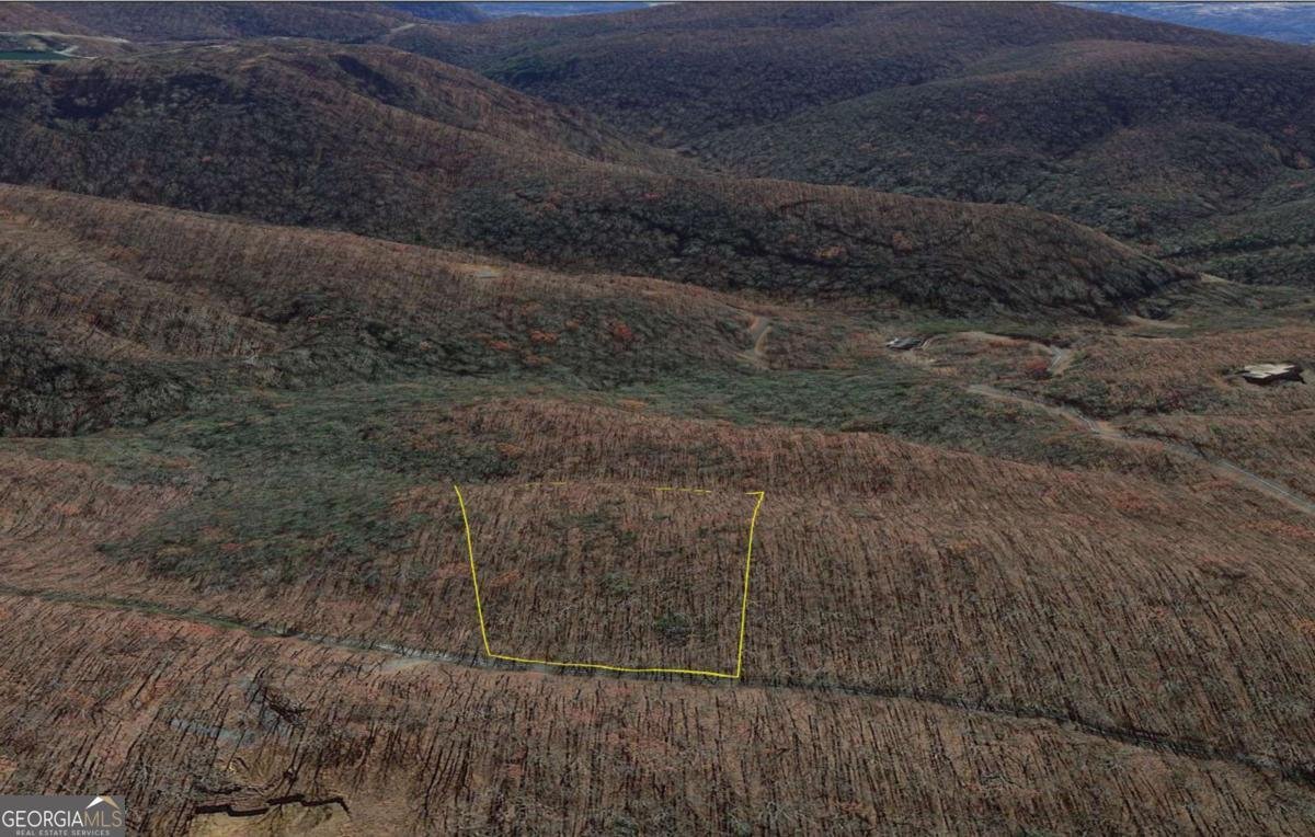 184 St Andrews Way Ellijay - 33