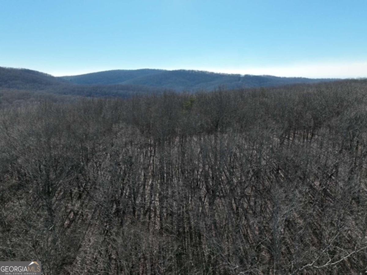 184 St Andrews Way Ellijay - 35