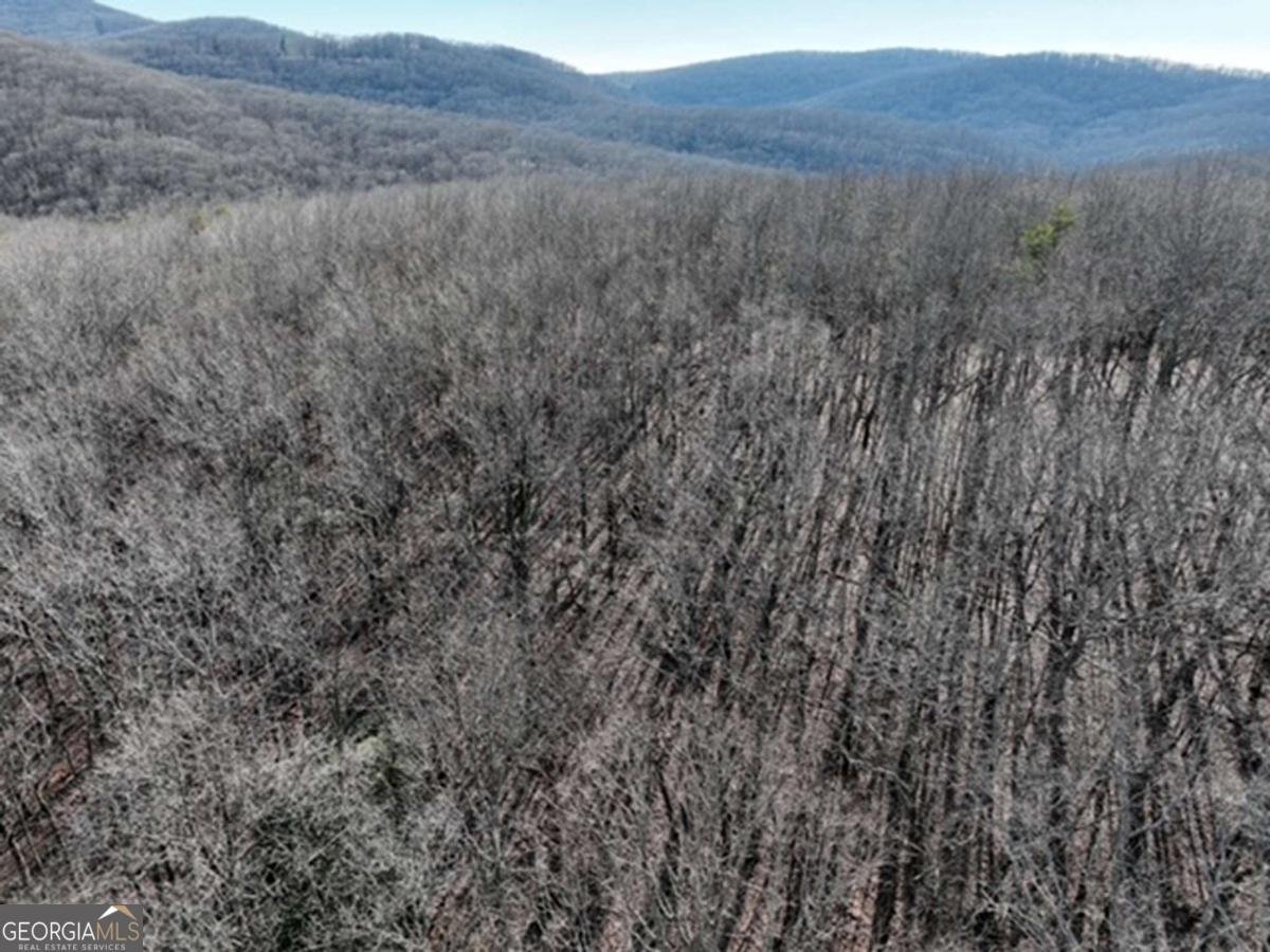 184 St Andrews Way Ellijay - 36