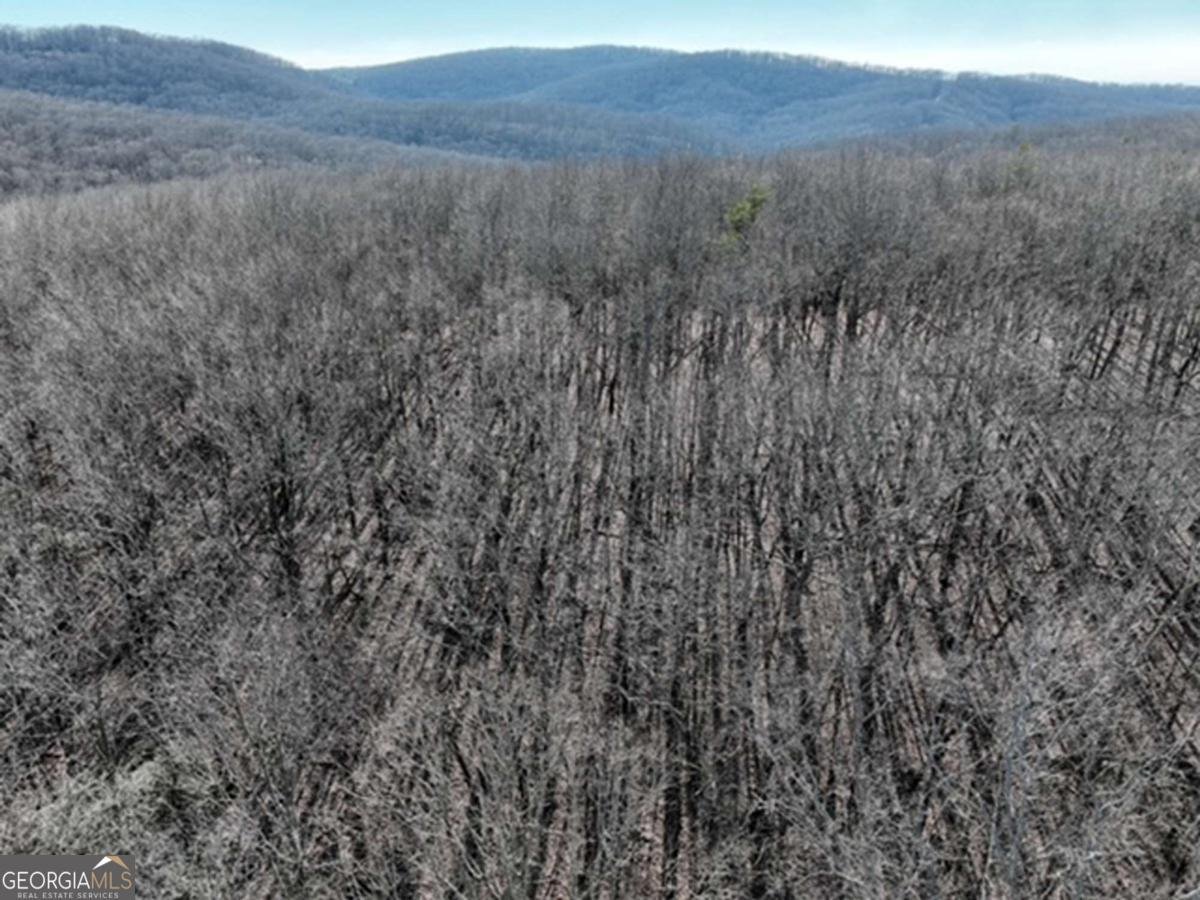 184 St Andrews Way Ellijay - 37