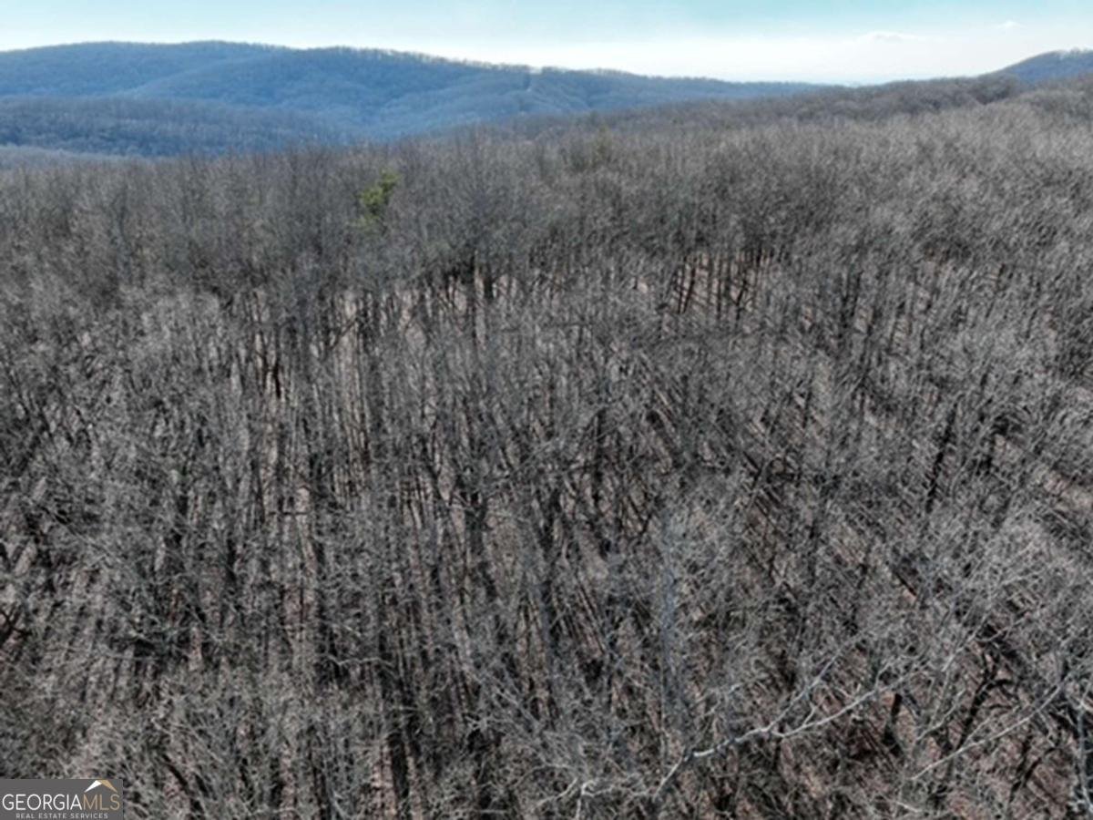 184 St Andrews Way Ellijay - 38