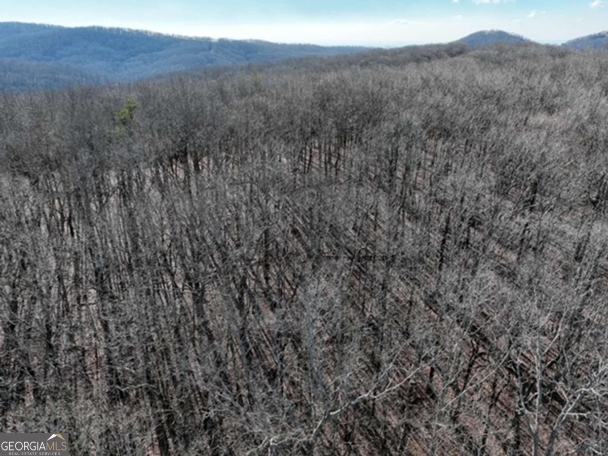 184 St Andrews Way Ellijay - 39