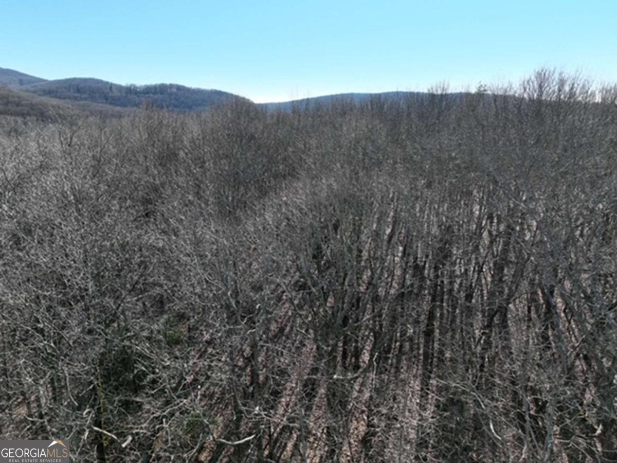 184 St Andrews Way Ellijay - 40