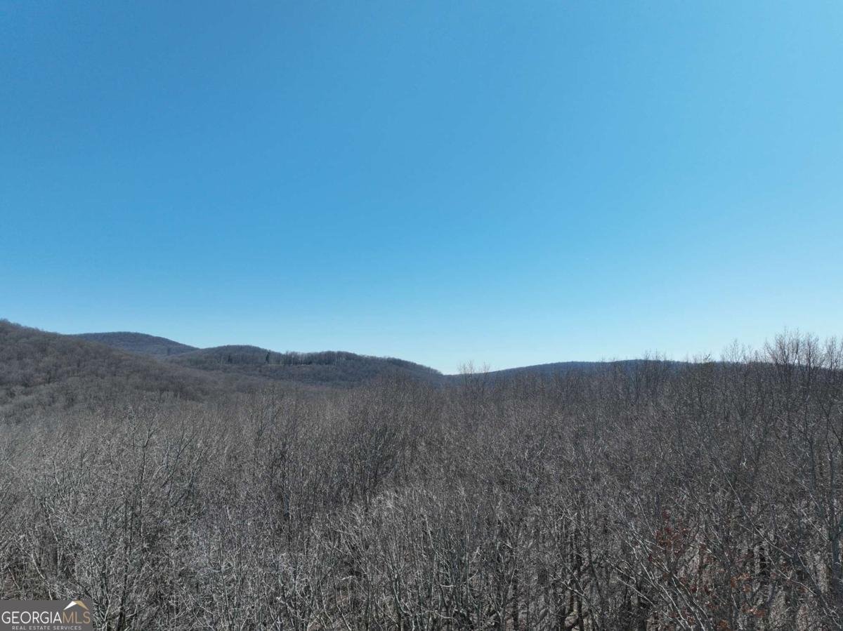 184 St Andrews Way Ellijay - 41