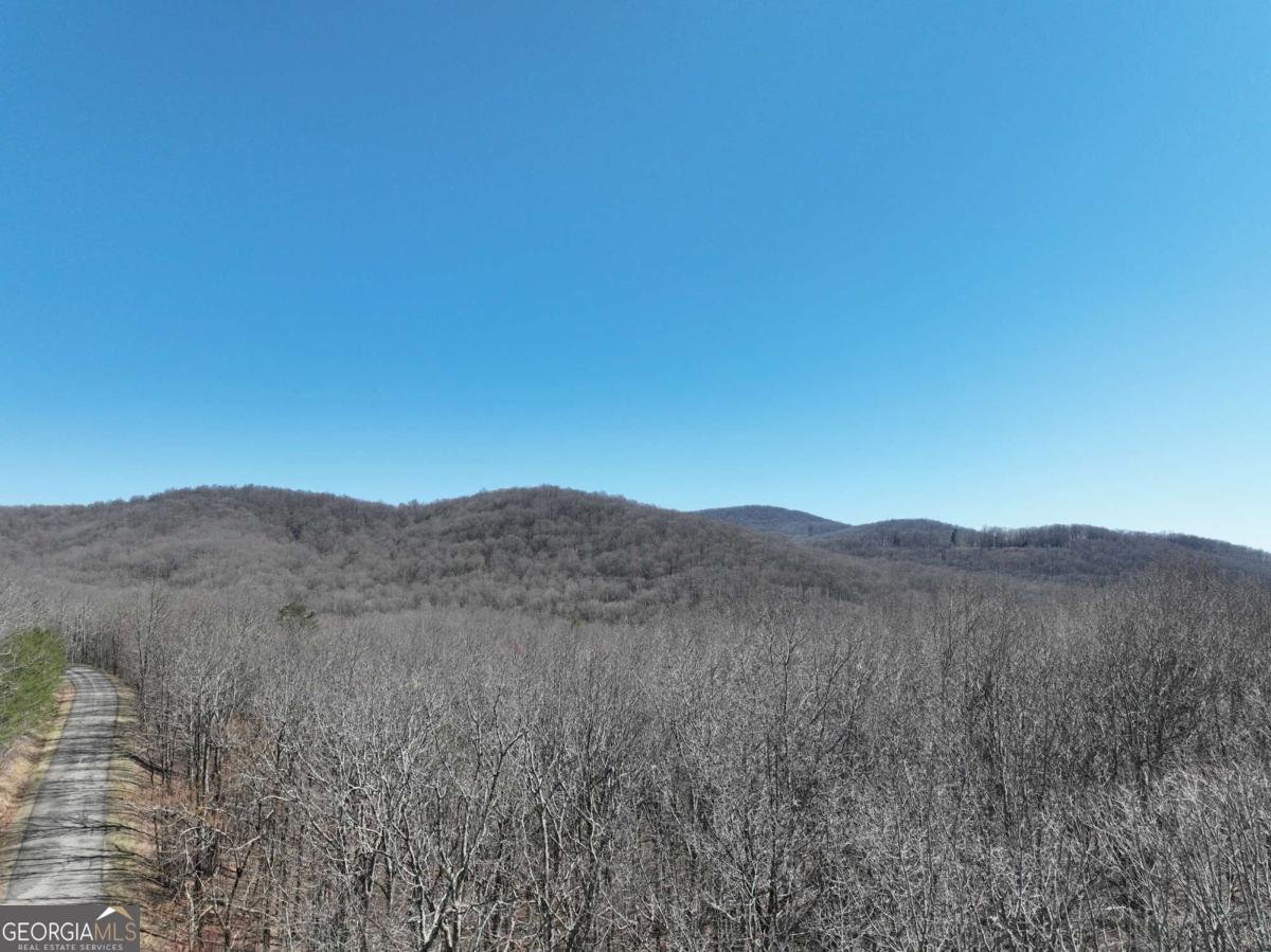 184 St Andrews Way Ellijay - 42