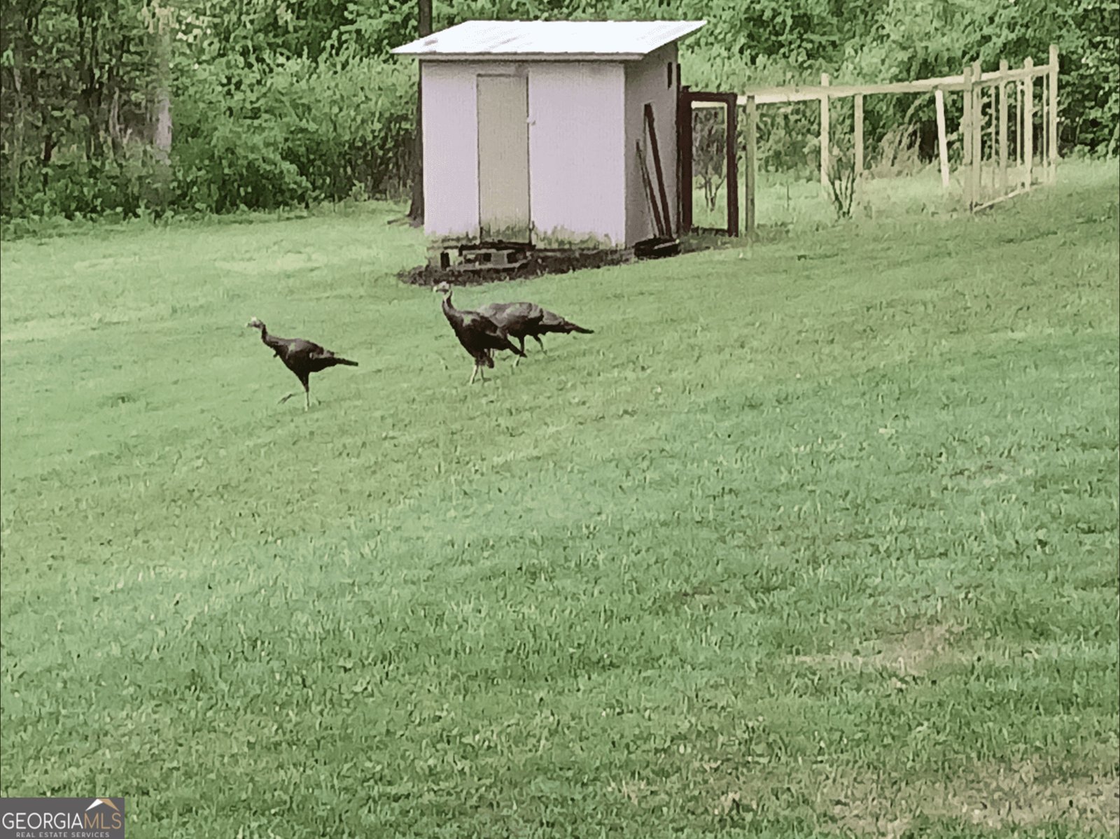 187 Bierce Drive Young Harris - 21