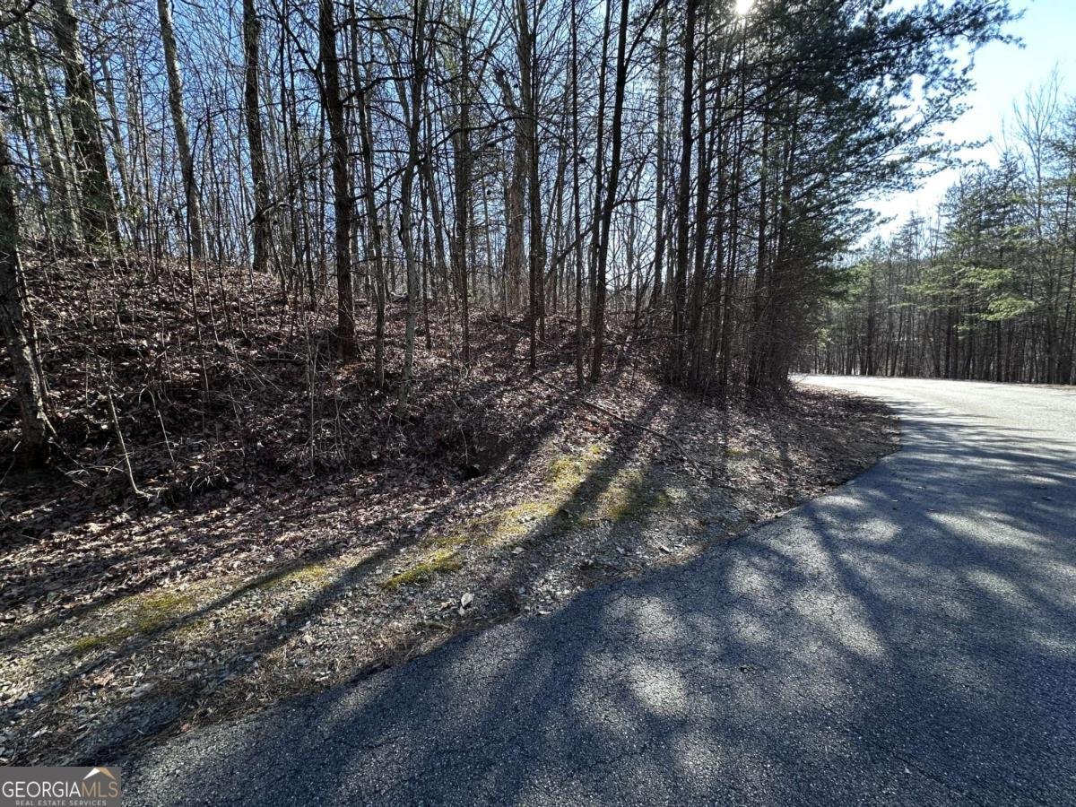 57 St Andrews Way Ellijay - 12