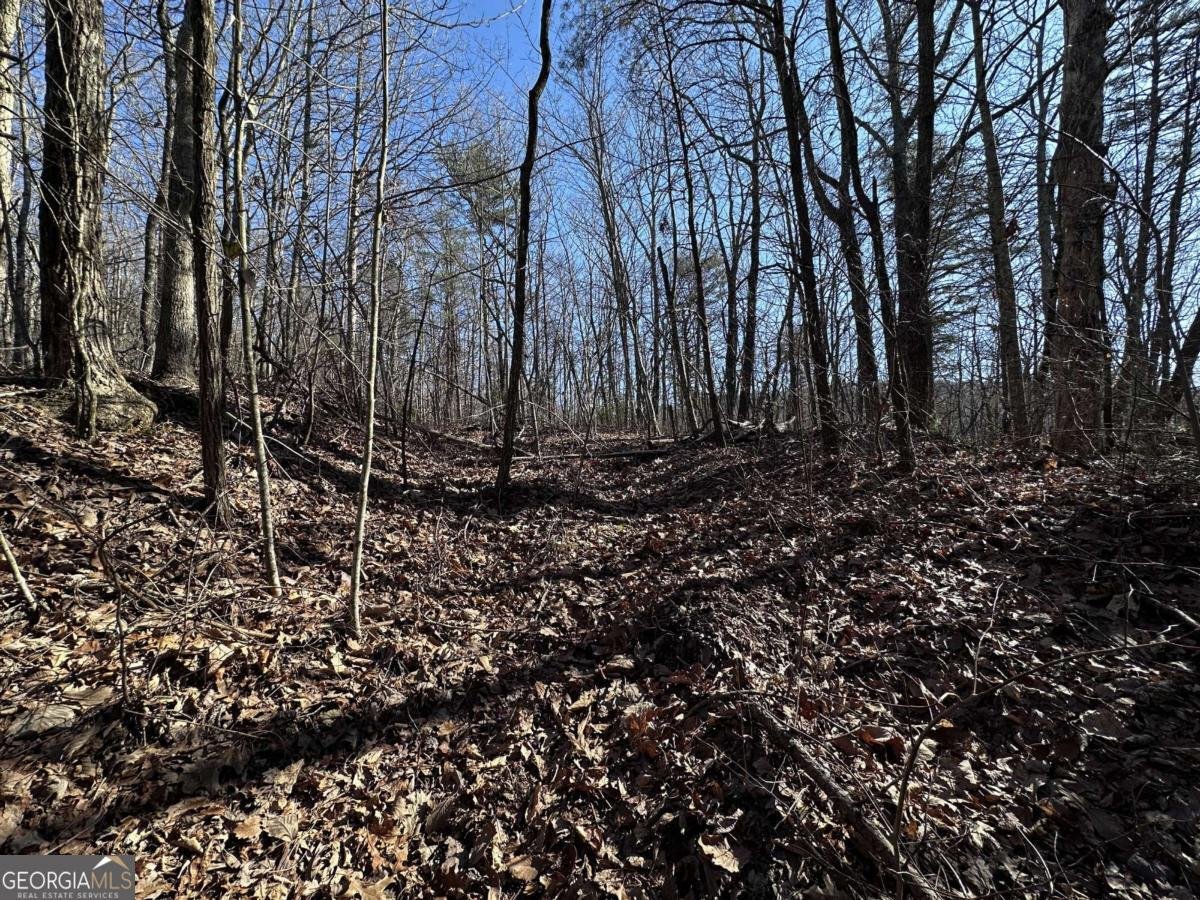 57 St Andrews Way Ellijay - 14