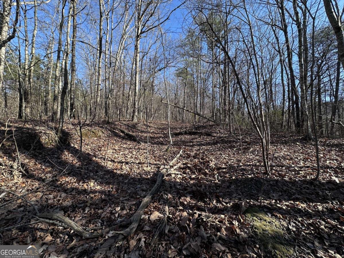 57 St Andrews Way Ellijay - 15