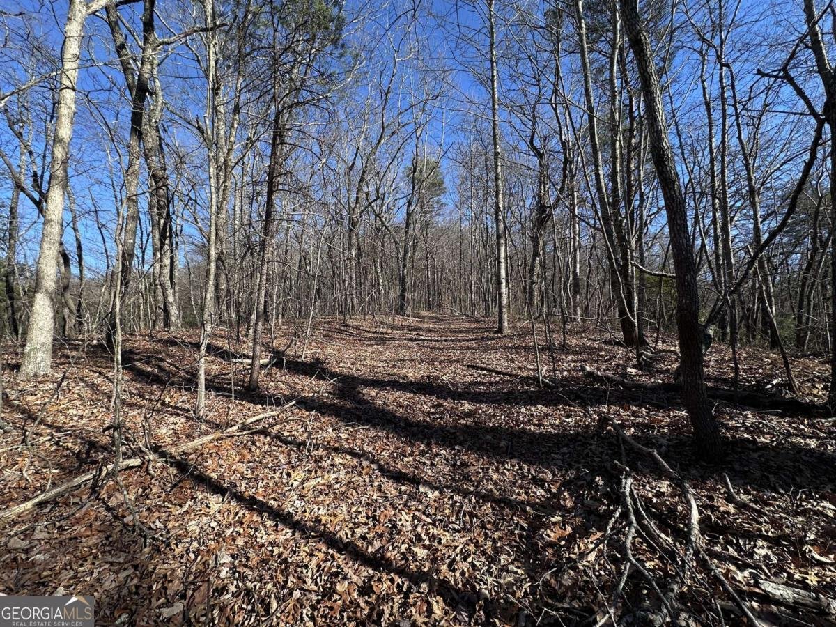 57 St Andrews Way Ellijay - 16