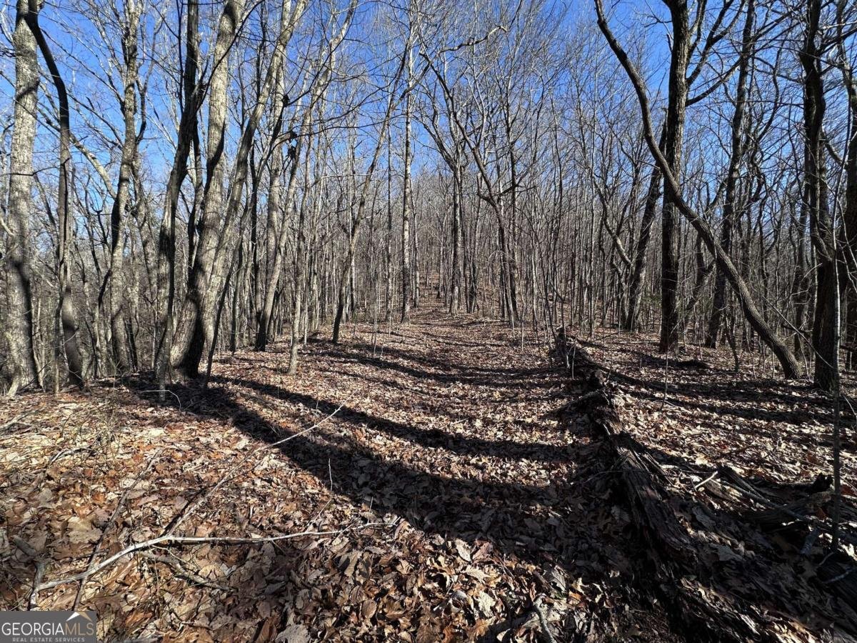 57 St Andrews Way Ellijay - 17