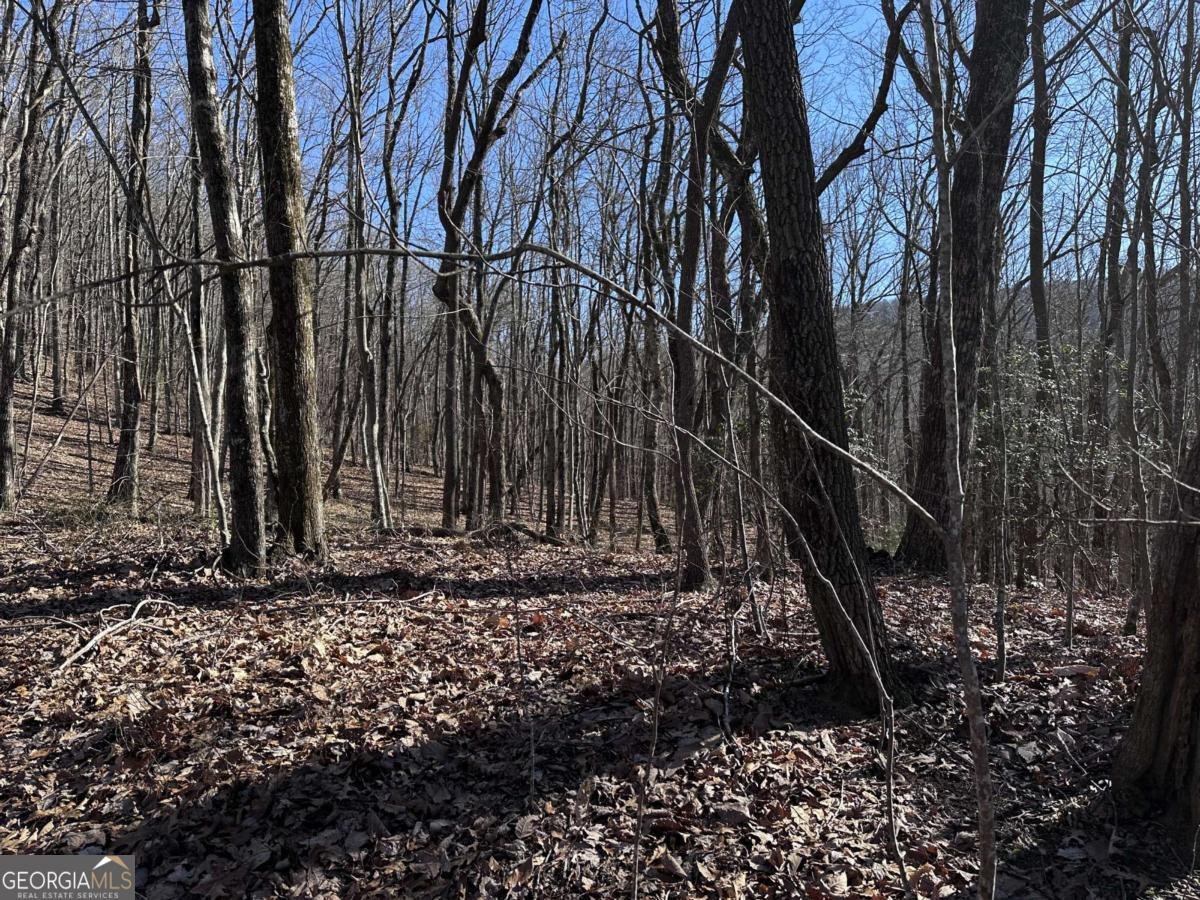 57 St Andrews Way Ellijay - 19