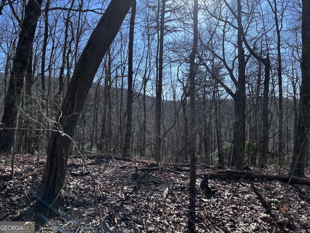 57 St Andrews Way Ellijay - 20