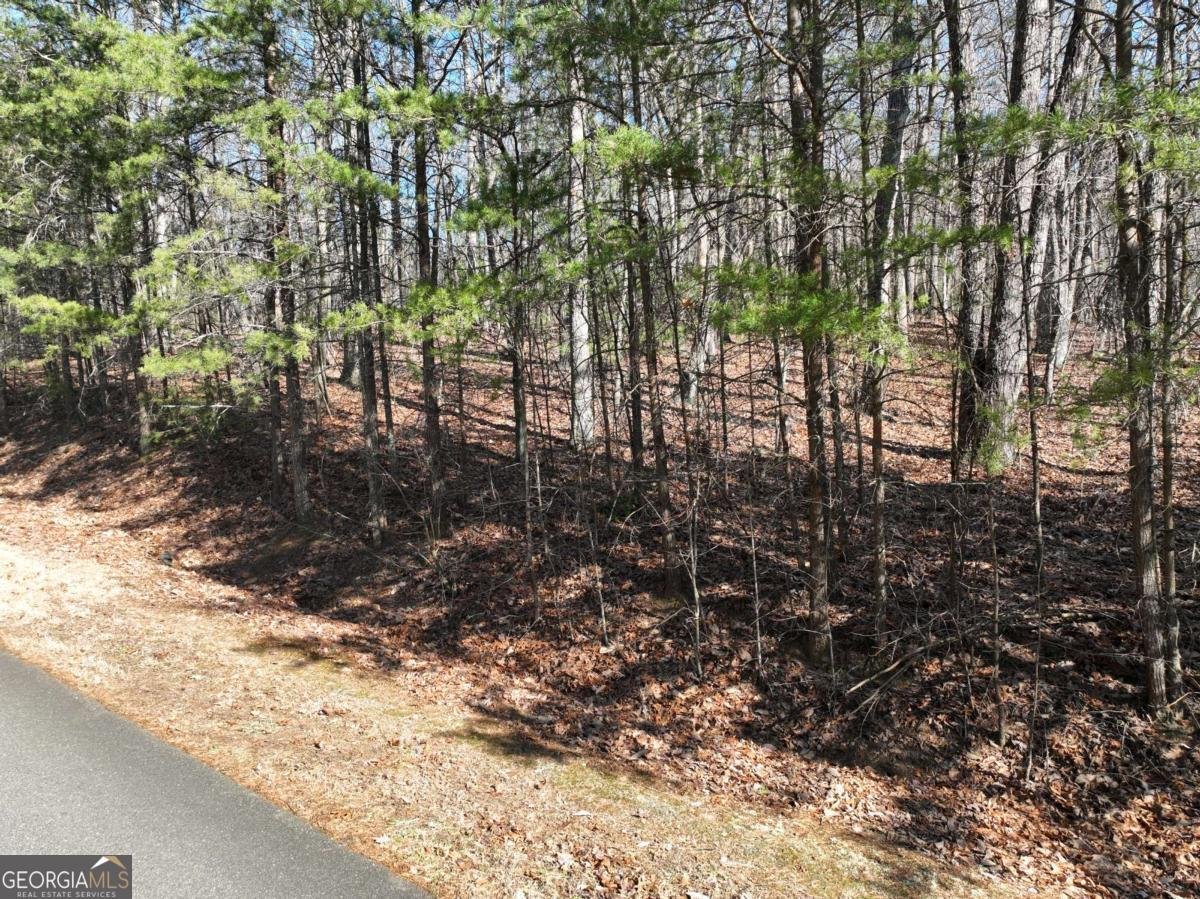 57 St Andrews Way Ellijay - 5