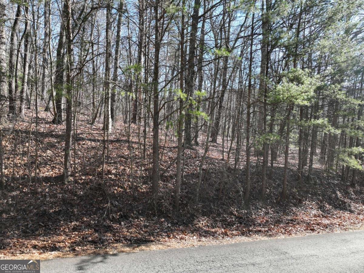 57 St Andrews Way Ellijay - 6