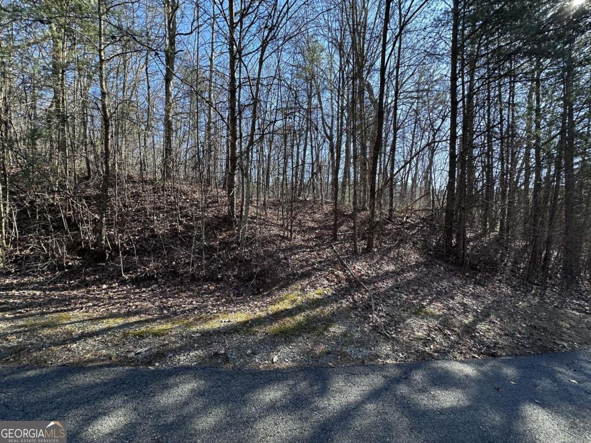 57 St Andrews Way Ellijay - 7