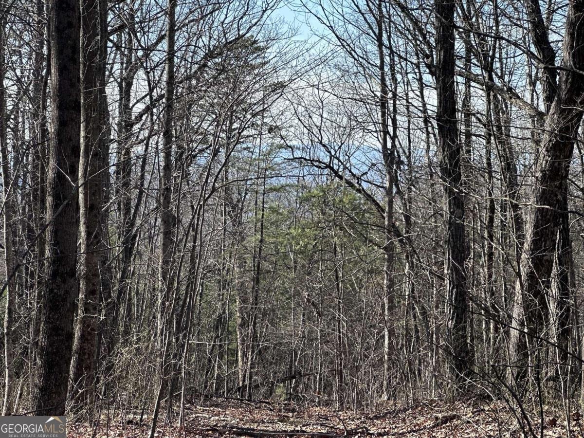 57 St Andrews Way Ellijay - 8