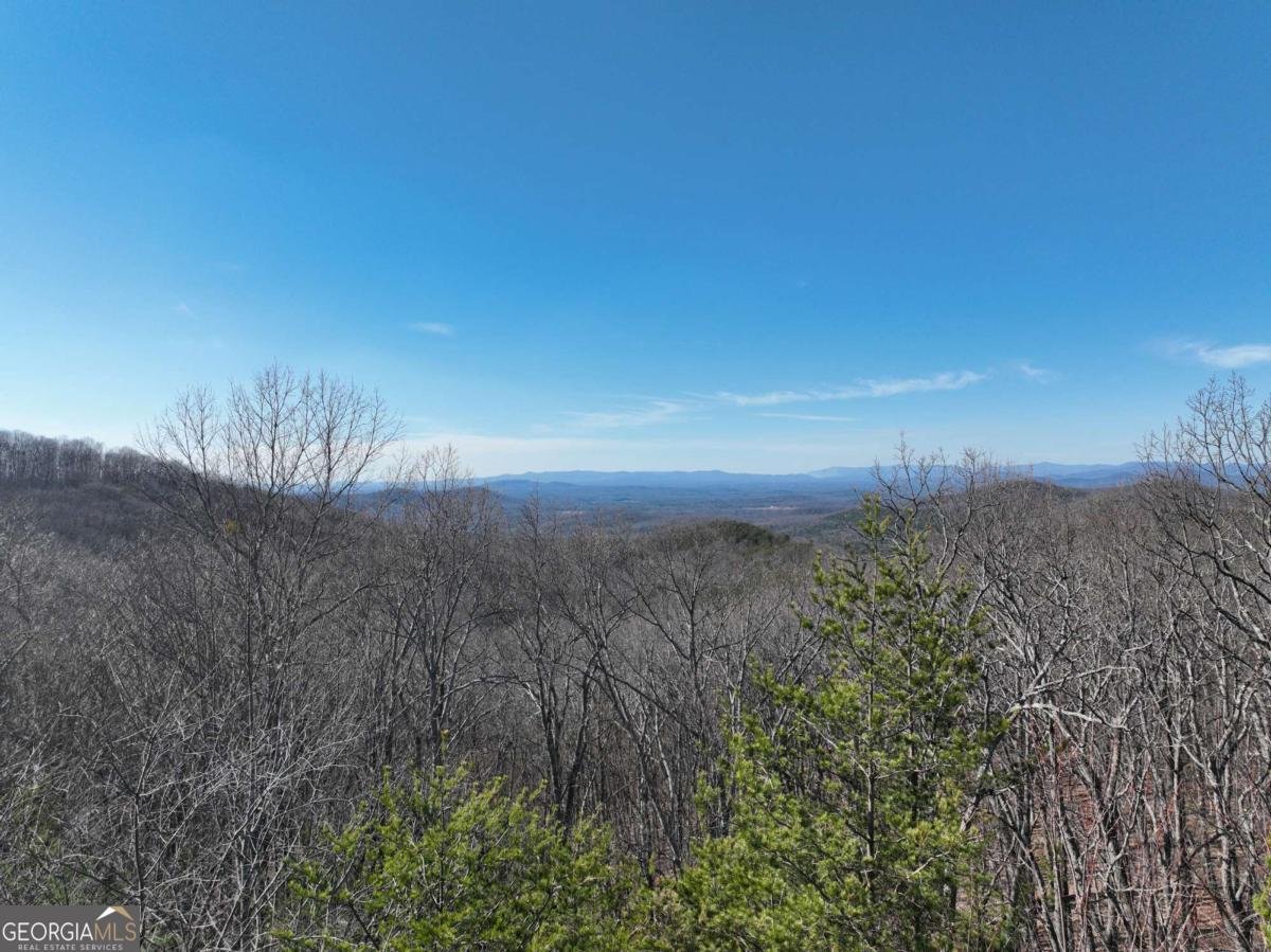 57 St Andrews Way Ellijay - 9