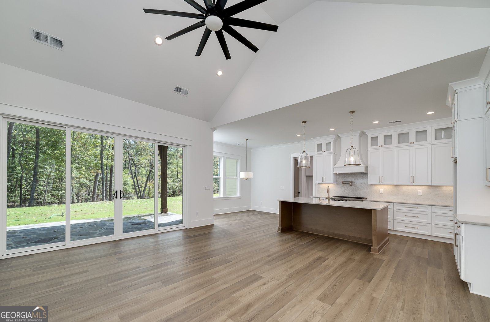 123 Stillwater Lane Dawsonville - 6