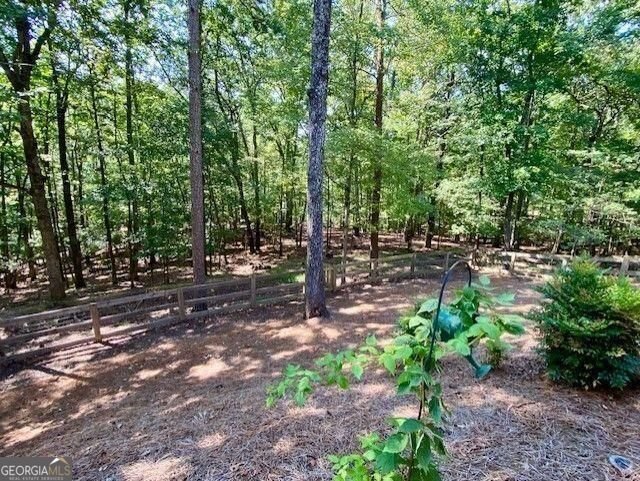 109 Cherokee Drive Waleska - 59