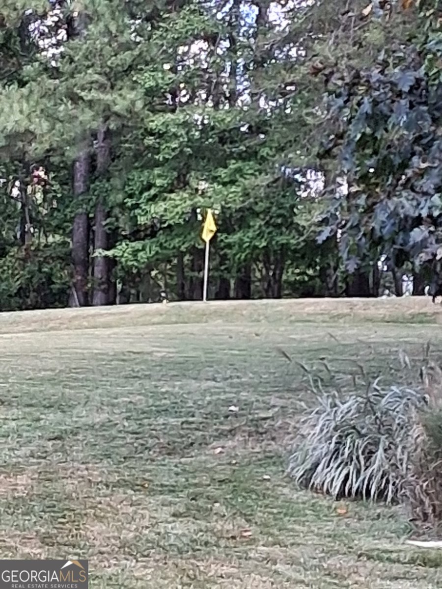 197 Evecliff Drive Dallas - 44