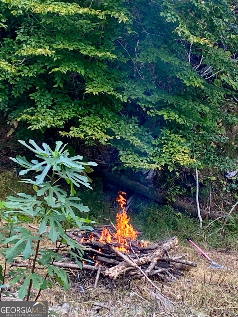 197 Evecliff Drive Dallas - 46