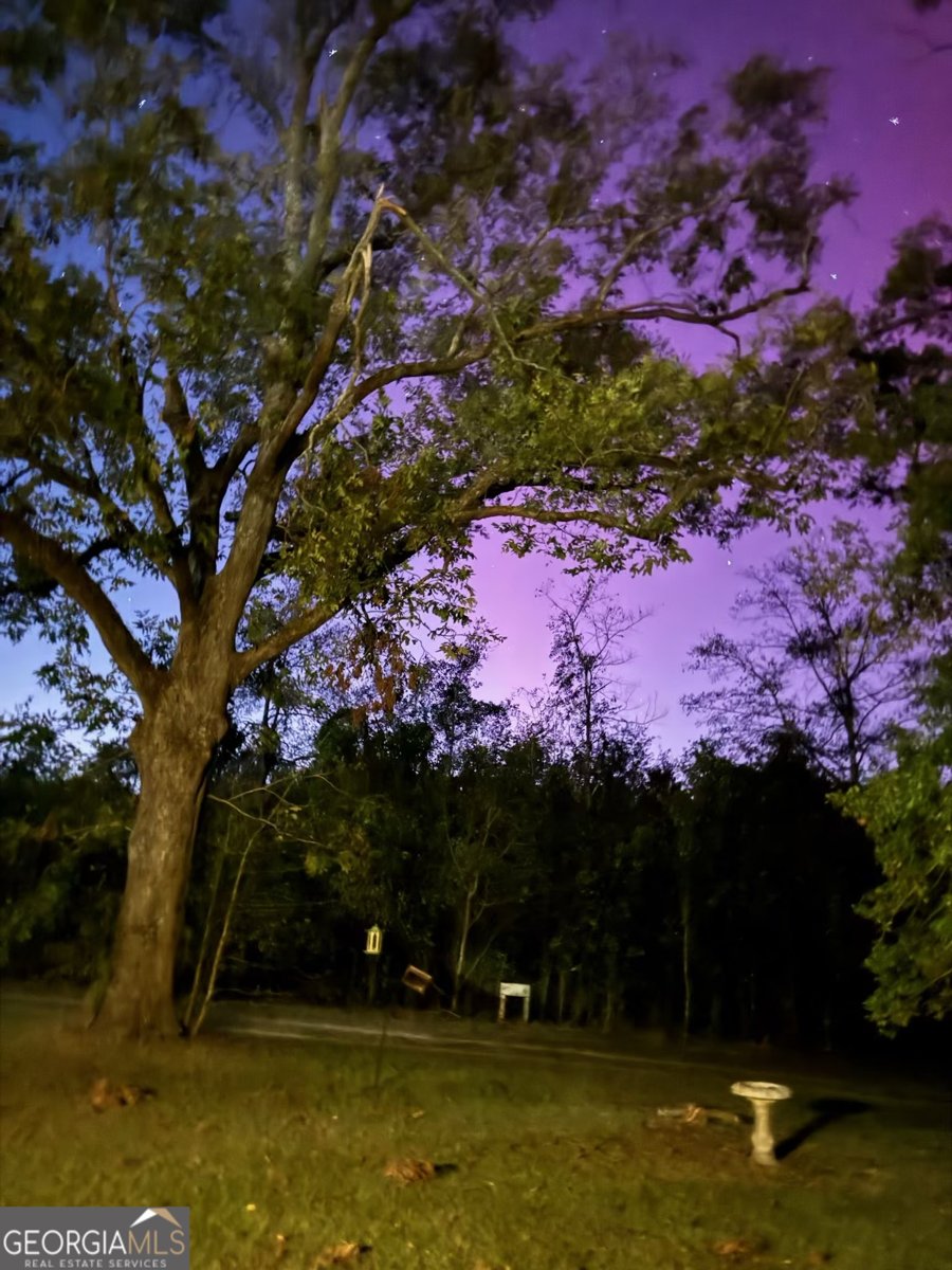 1066 Millen Hiltonia Road Sylvania - 18