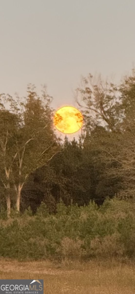 1066 Millen Hiltonia Road Sylvania - 19