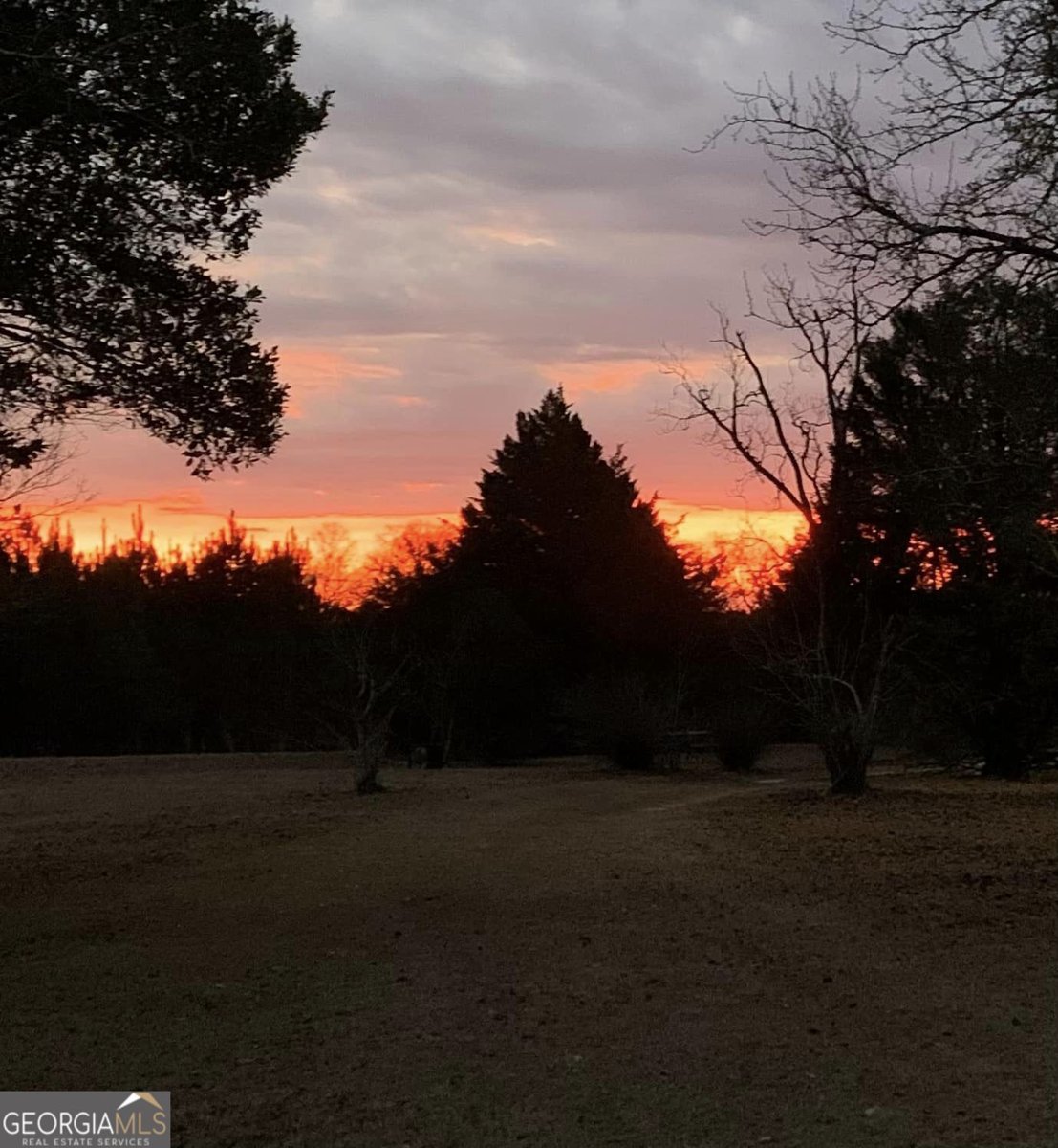 1066 Millen Hiltonia Road Sylvania - 23