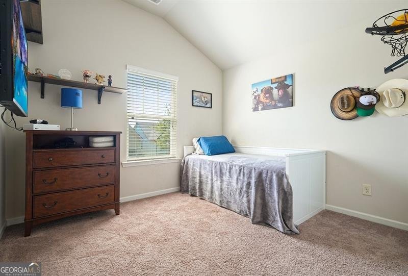 317 Rippling Drive Ball Ground - 10