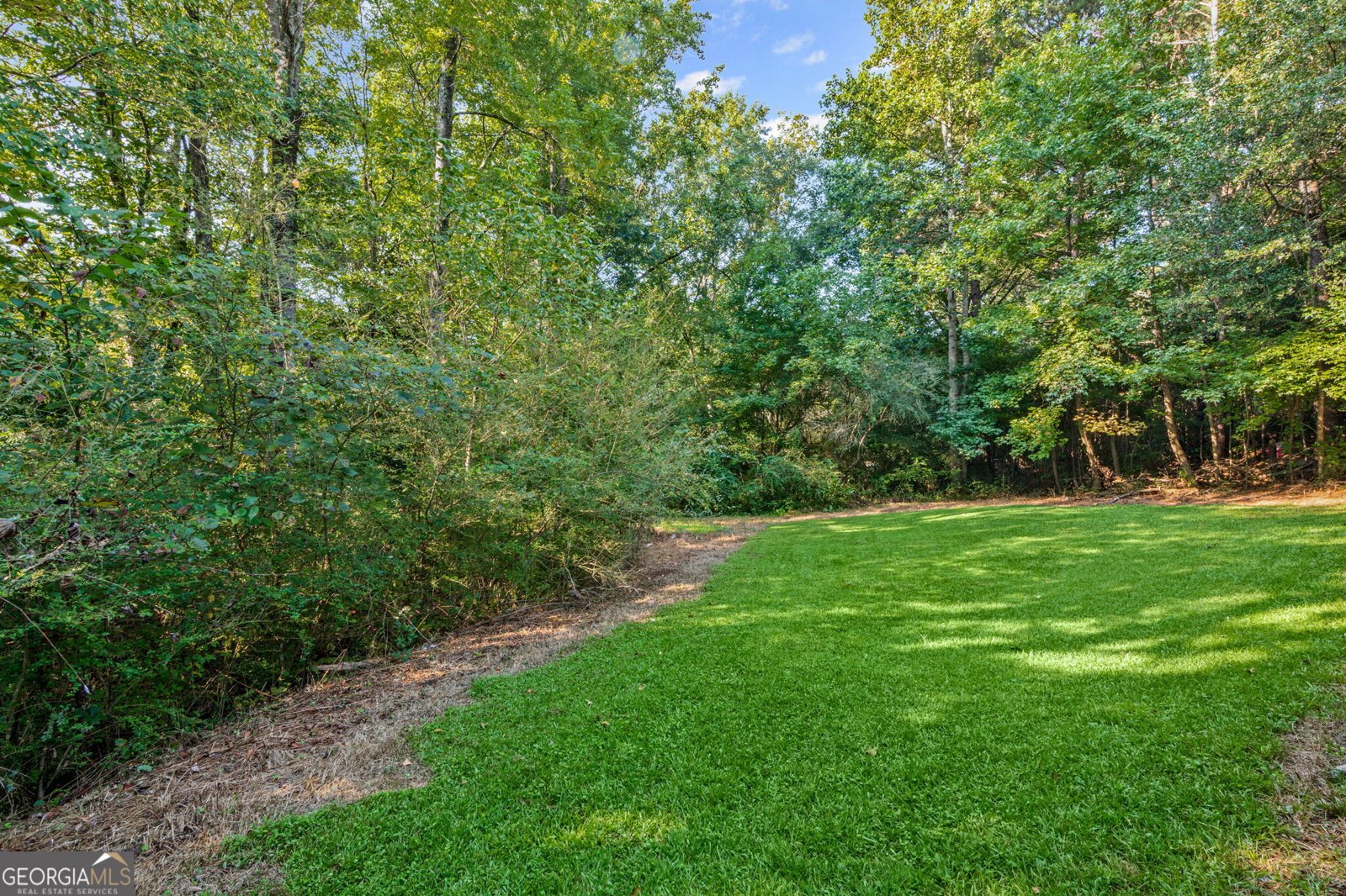 4 Thomas Way Newnan - 25