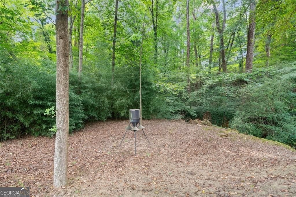 237 Lamplighter Lane Marietta - 17