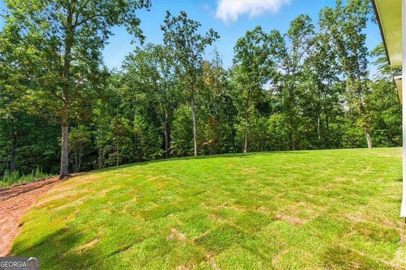 107 Marks Way Canton - 33