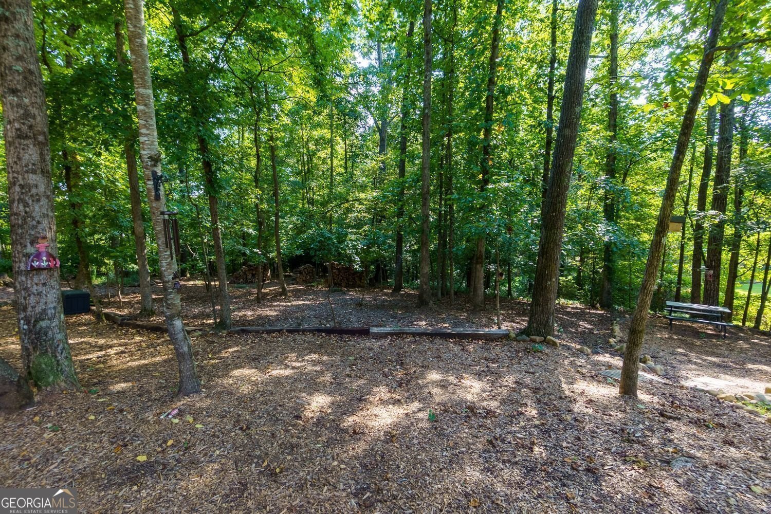 201 Glenrise Court Woodstock - 56